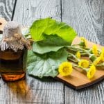 huflattich (Tussilago farfara) and the infusion